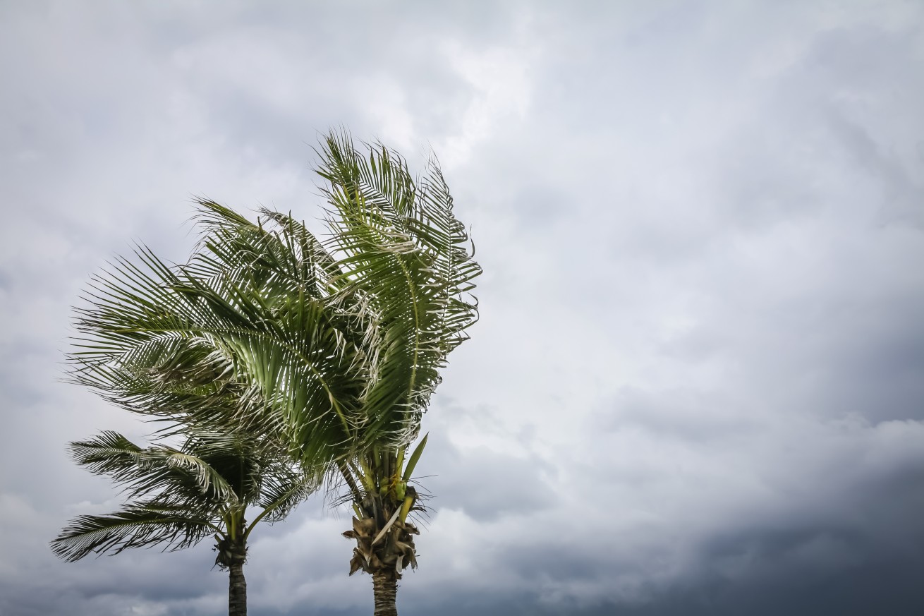 Is Tropical Storm Fred on the Horizon off the Southeast Coast of the US ...