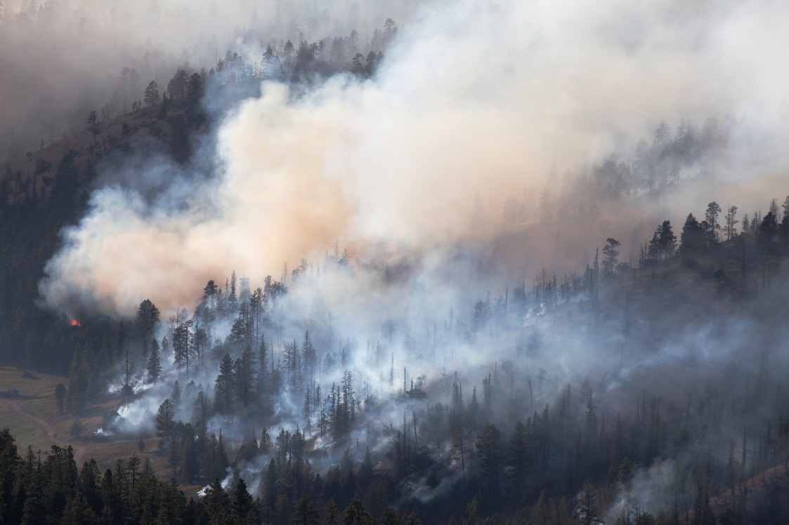 Dixie Fire Now The Second-Largest In California History As Thousands ...