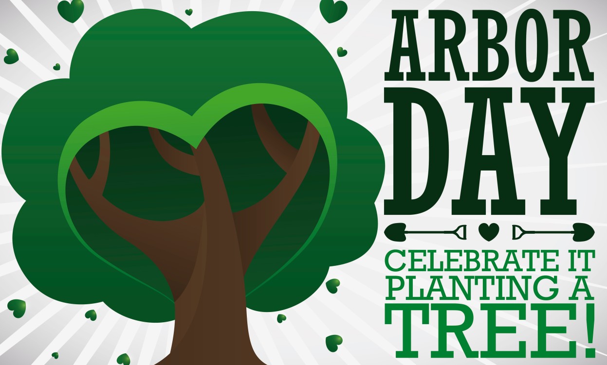 What You Should Know About Arbor Day Breaking Weather