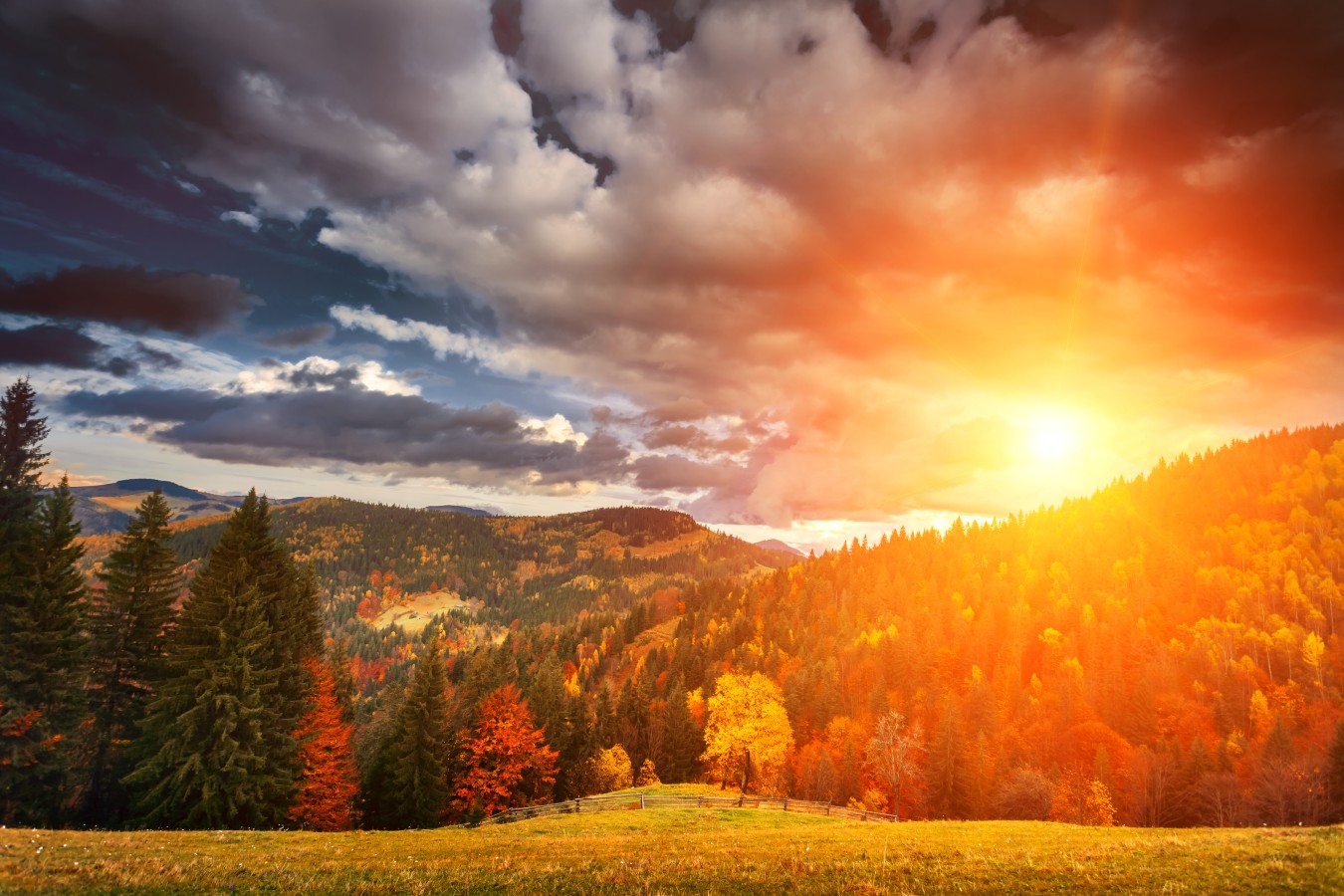 Fall Forecast is Here: What You Can Expect in Your Corner of the ...